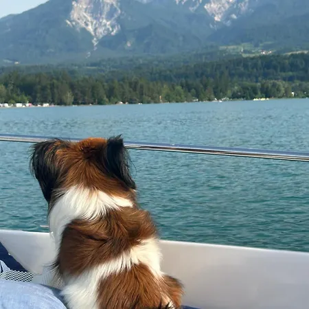 Fewos Wuzella Faaker Latschach ober dem Faakersee